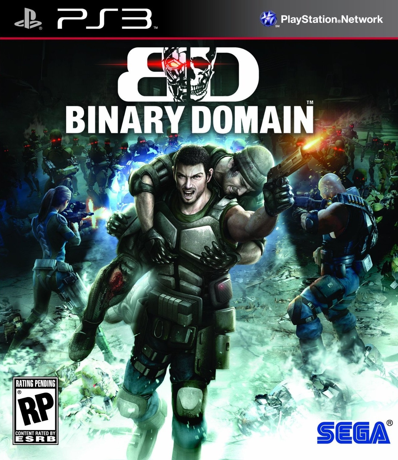 Binary Domain